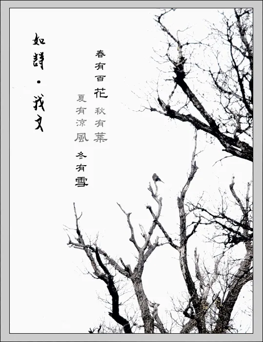 詩畫篇 | 成都.西安 (2011) — 照片 1