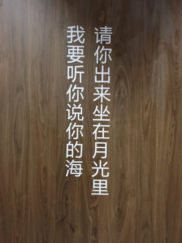重慶森林 | 重慶 (2019) — 照片 9